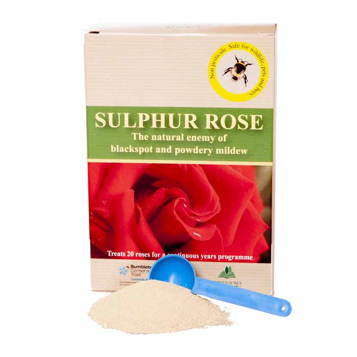 Sulphur Rose Tonic 250g concentrate